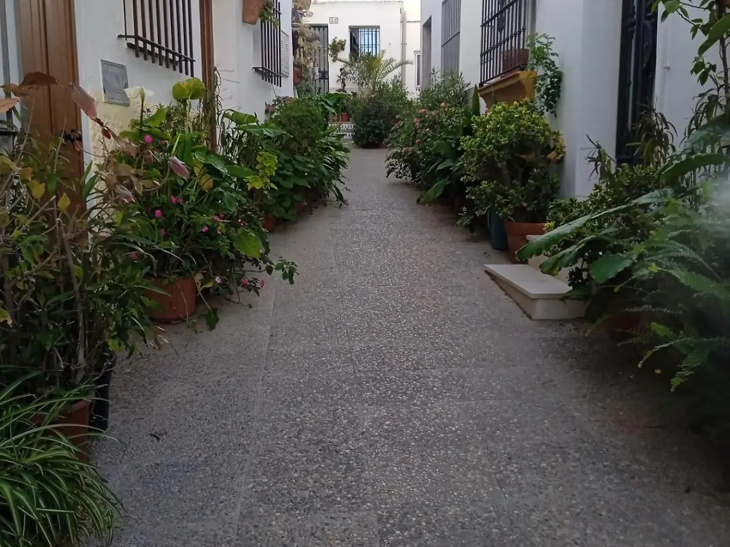 公寓 Apartamento Abril Con Terraza 科尼尔-德拉弗龙特拉